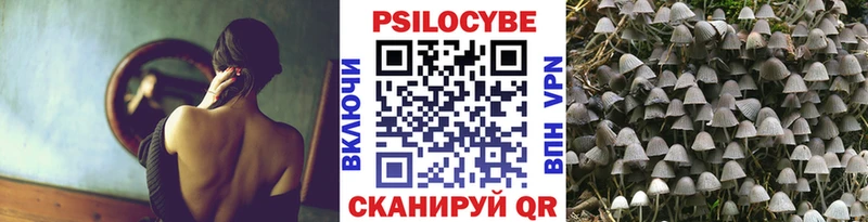 Галлюциногенные грибы Psilocybe Коркино